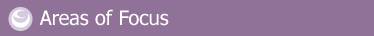 Areas-of-Focus.gif